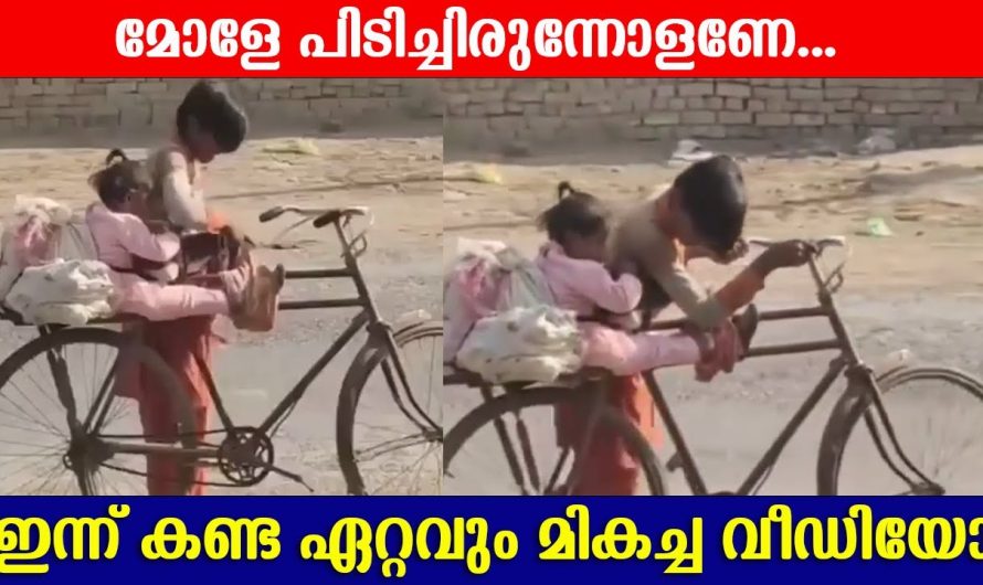 സഹോദര സ്നേഹം എന്നൊക്കെ പറഞ്ഞാൽ ഇതാണ്..
