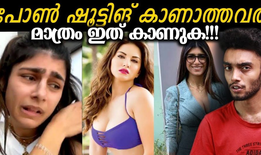 പോൺ വീഡിയോസ് കാണുന്നത് ഇനിയും നിർത്താത്തവർ ഉണ്ടെങ്കിൽ ശ്രദ്ധിക്കുക…