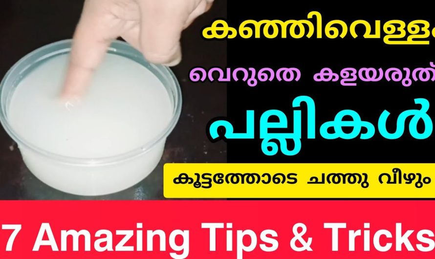 വീട്ടിൽ ഒഴിച്ചു കളയുന്ന കഞ്ഞിവെള്ളം കൊണ്ട് ഉപയോഗപ്രദമായ ചില ടിപ്സുകൾ പരിചയപ്പെടാം..
