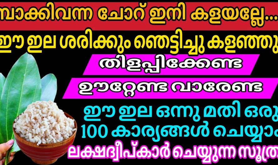 പാത്രങ്ങളിൽ ഉണ്ടാകുന്ന ദുർഗന്ധങ്ങൾ ഈസിയായി അകറ്റാം..