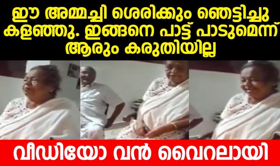 തൻറെ ജന്മദിനാഘോഷത്തിൽ മുത്തശ്ശി ഒരു പാട്ടു പാടിയതാണ് ഇപ്പോൾ വൈറൽ..