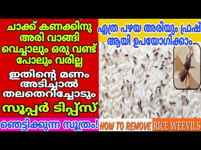 ഒരു കുപ്പി വിനിഗർ കയ്യിലുണ്ടോ എങ്കിൽ യൂസ്ഫുൾ ആയിട്ടുള്ള ചില ടിപ്സുകൾ പരിചയപ്പെടാം..
