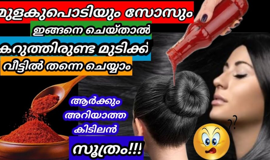 മുടി നല്ലപോലെ തഴച്ചു വളരാൻ സഹായിക്കുന്ന ചില സിമ്പിൾ ടിപ്സുകൾ പരിചയപ്പെടാം…