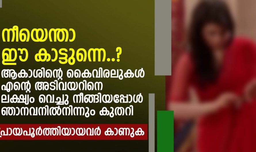 അനുവാദമില്ലാതെ പെൺകുട്ടിയുടെ ശരീരത്തിൽ കൈവച്ചപ്പോൾ അവൾ ചെയ്തത് കണ്ടോ…