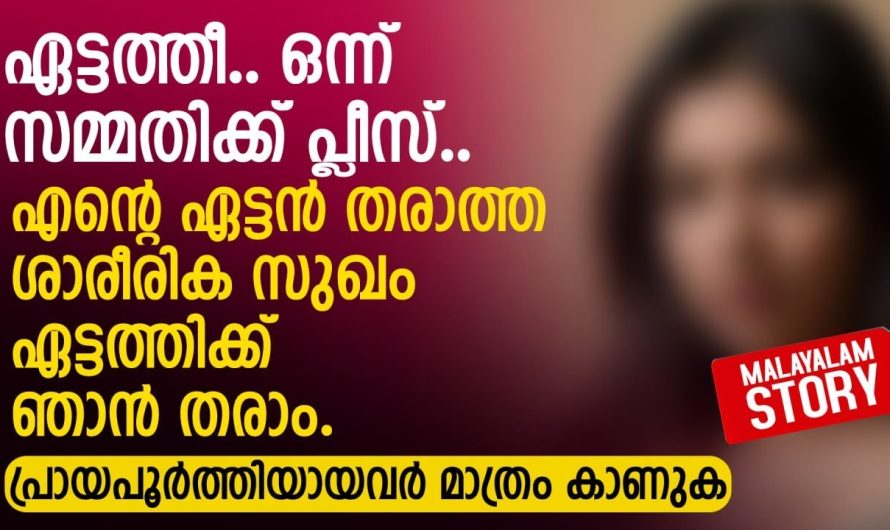ചേട്ടൻറെ ഭാര്യയോട് മോശമായി പെരുമാറിയ അനുജന് കിട്ടിയ പണി കണ്ടോ…