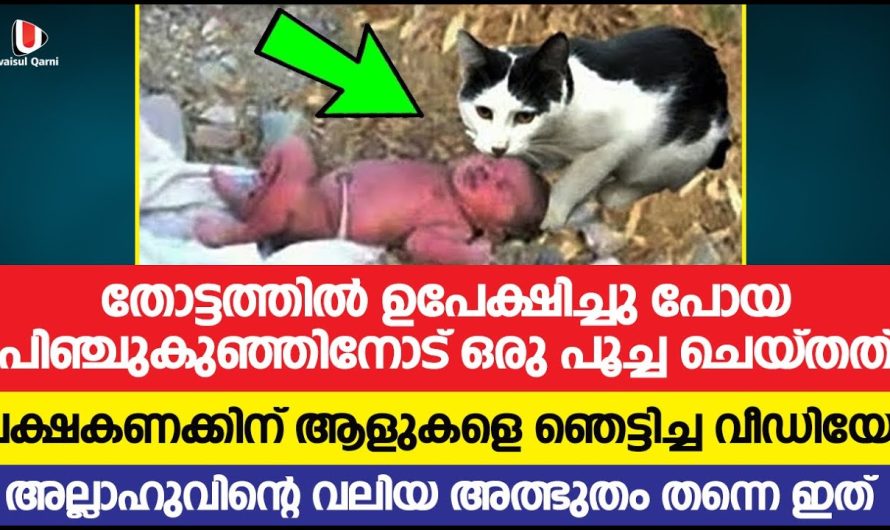 ഒരു പാവം പെൺകുട്ടിയോട് ഫേസ്ബുക്കിലൂടെ പരിചയപ്പെട്ട വ്യക്തി ചെയ്തതു കണ്ടോ..