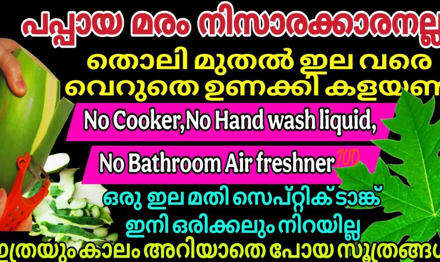 പപ്പായ കൊണ്ട് ചെയ്യാൻ കഴിയുന്ന ആർക്കും അറിയാത്ത ചില ടിപ്സുകൾ പരിചയപ്പെടാം..