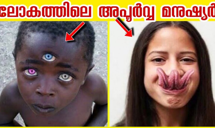 കറുപ്പിന് ഏഴഴകാണ്.. കറുപ്പ് നിറത്തിന്റെ സൗന്ദര്യത്തെക്കുറിച്ച് മനസ്സിലാക്കാം..