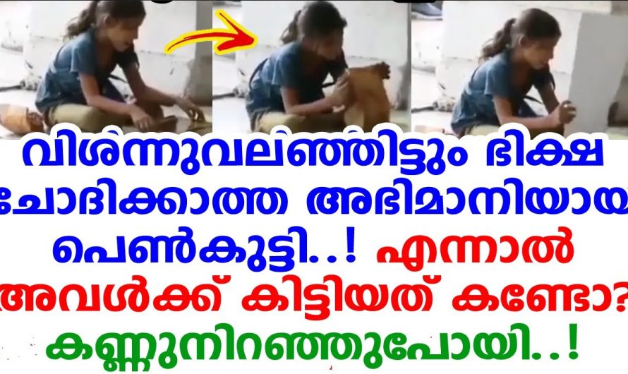 എല്ലാവരുടെയും മനസ്സും കണ്ണും ഒരുപോലെ നിറയ്ക്കുന്ന വീഡിയോ ആണ് ഇപ്പോൾ സോഷ്യൽ മീഡിയയിൽ വൈറലാകുന്നത്..