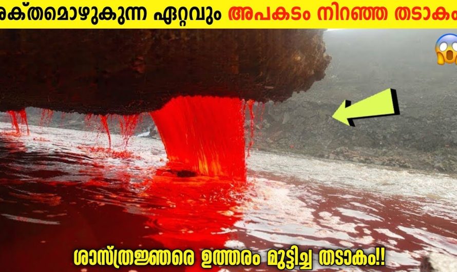 മനുഷ്യരെയെല്ലാം കല്ലുകൾ ആക്കുന്ന നിഗൂഢതകൾ നിറഞ്ഞ തടാകം…
