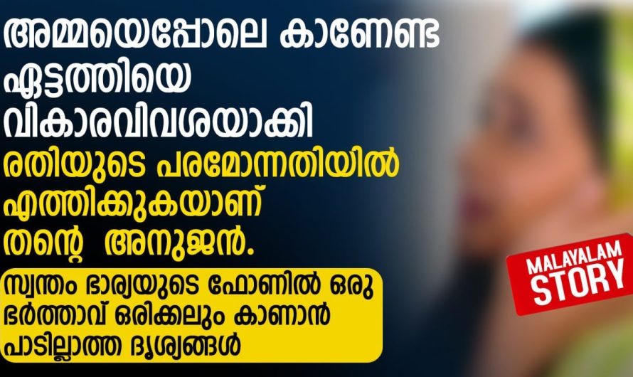 തൻറെ മോനെ പോലെ വളർത്തിയ അനുജനും ജീവനുതുല്യം സ്നേഹിച്ച ഭാര്യയും  തന്നെ ചതിക്കുകയാണെന്ന് അറിഞ്ഞപ്പോൾ ഭർത്താവ് ചെയ്തതു കണ്ടോ…