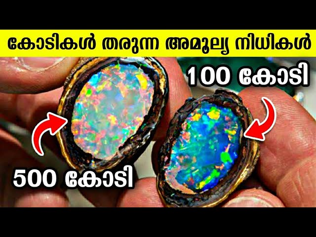 ലോകത്തിലെ തന്നെ ഏറ്റവും വിലകൂടിയ കല്ലുകളെ കുറിച്ച് പരിചയപ്പെടാം…