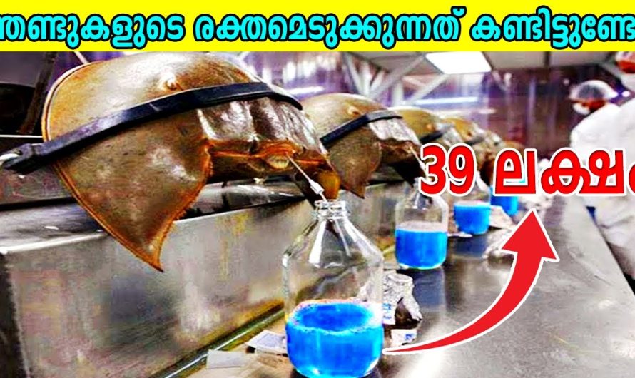 ലോകത്തിലെ തന്നെ ഏറ്റവും വിലകൂടിയ കുറച്ച് ദ്രാവങ്ങളെ കുറിച്ച് പരിചയപ്പെടാം..