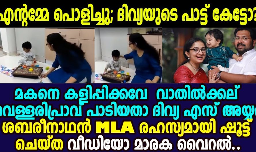 ഈ കലക്ടർ അമ്മയുടെയും മകൻറെയും പാട്ടാണ് ഇപ്പോൾ സോഷ്യൽ മീഡിയയിൽ വൈറലാകുന്നത്…