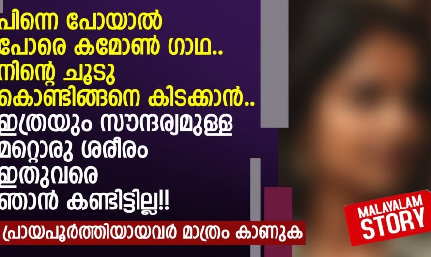 തന്നെ ചതിക്കുകയാണ് കാമുകൻ എന്ന് അറിഞ്ഞപ്പോൾ കാമുകി ചെയ്തത് കണ്ടോ…