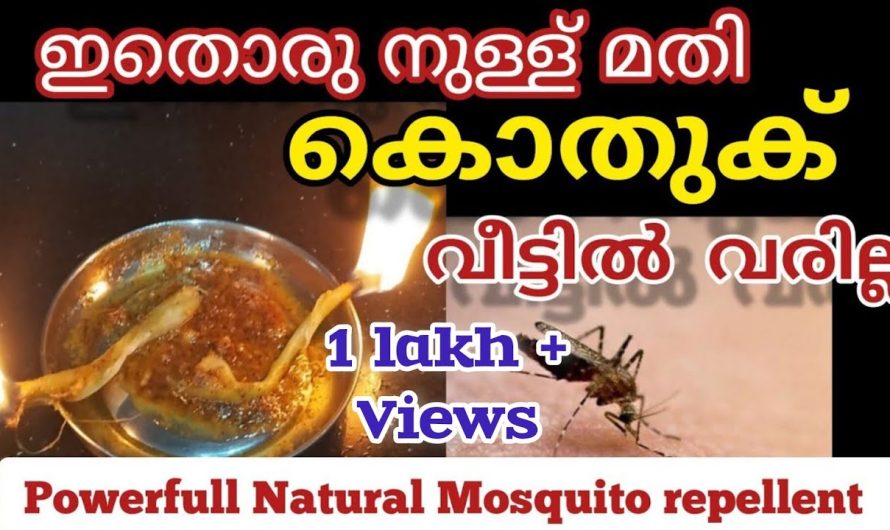 ഈ രണ്ട് ടിപ്സുകൾ പരീക്ഷിക്കു വീട്ടിൽ നിന്ന് കൊതുക് ശല്യം എന്നന്നേക്കുമായി ഇല്ലാതാവും…
