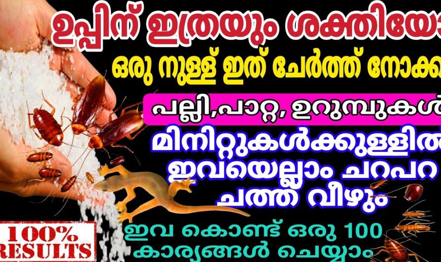 ഇതുവരെയും ആർക്കും അറിയാത്ത ഉപ്പുകൊണ്ട് ചെയ്യാൻ പറ്റുന്ന ചില സിമ്പിൾ ടിപ്സുകൾ പരിചയപ്പെടാം…