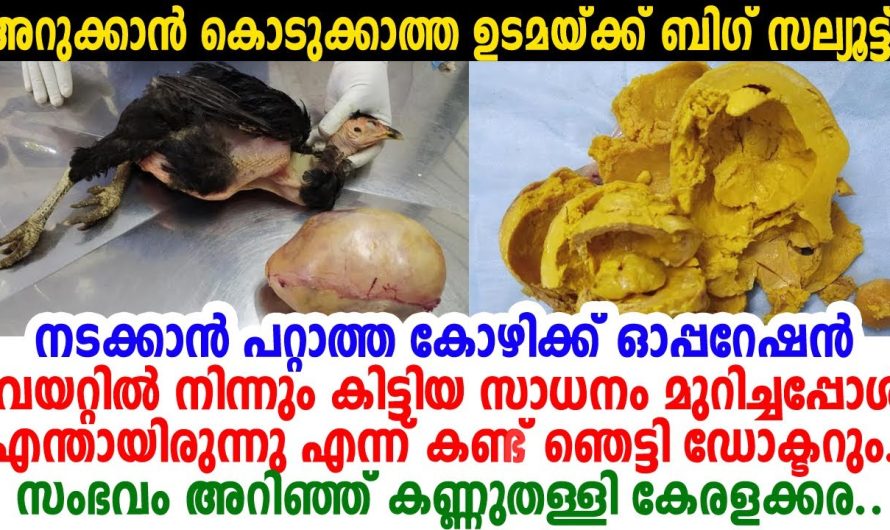 ഇപ്പോൾ ഒരു ഡോക്ടറുടെ കുറിപ്പാണ് സോഷ്യൽ മീഡിയയിൽ വൈറലാകുന്നത്..