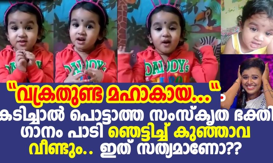 ഗണേശ മന്ത്രം പാടി വീണ്ടും സോഷ്യൽ മീഡിയ കയ്യടക്കി ഈ കൊച്ചു മിടുക്കി…