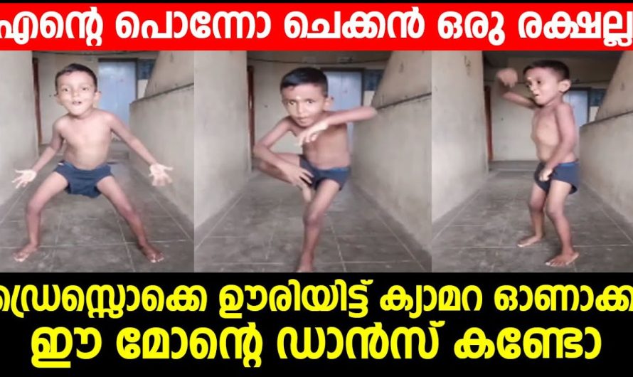 ഈ ആൺകുട്ടിയുടെ എനർജറ്റിക്കായ ഡാൻസ് വീഡിയോ ആണ് ഇപ്പോൾ സോഷ്യൽ മീഡിയ വൈറൽ..