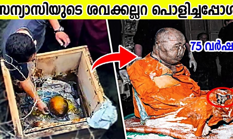 മരിച്ചുപോയ സന്യാസിയുടെ കല്ലറ വർഷങ്ങൾക്ക് ശേഷം തുറന്നപ്പോൾ ആളുകൾ ഞെട്ടിപ്പോയി…
