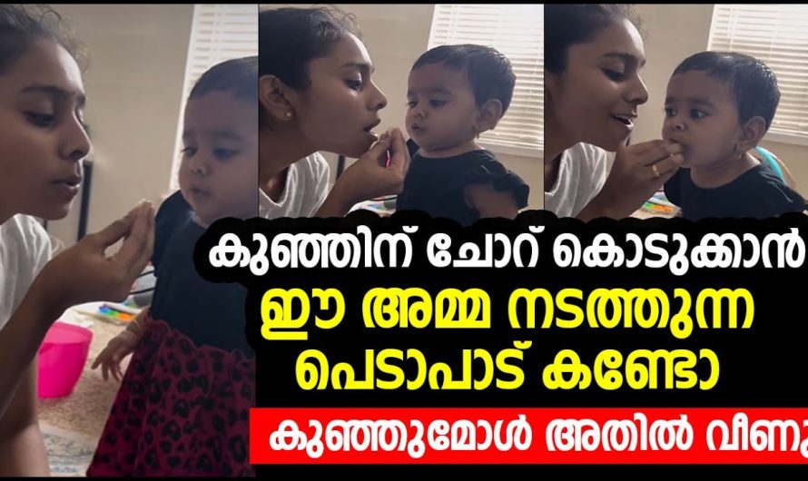 ഭക്ഷണം കഴിക്കാൻ വാശിപിടിക്കുന്ന കുഞ്ഞിനെ വളരെ രസകരമായി ഭക്ഷണം നൽകുന്ന അമ്മയുടെ വീഡിയോ ആണ് ഇപ്പോൾ സോഷ്യൽ മീഡിയയിൽ വൈറൽ…