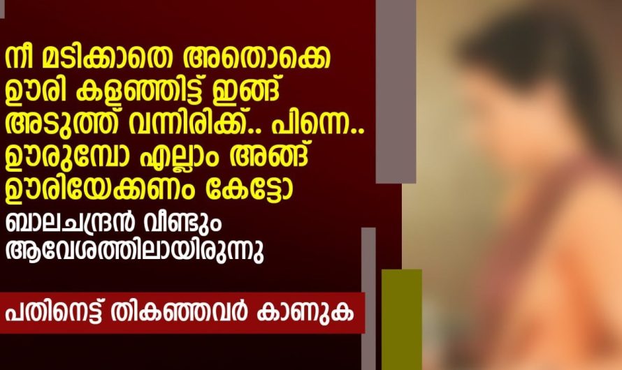 ഭർത്താവ് ഉള്ളപ്പോൾ തന്നെ ഭാര്യയോട് മോശമായി പെരുമാറിയ വ്യക്തിയോട് അവൾ ചെയ്തതു കണ്ടോ..