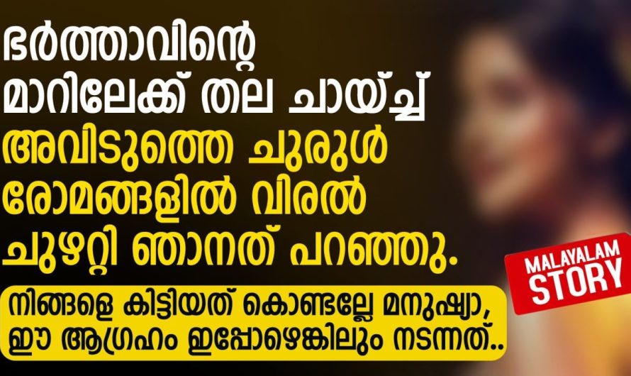 കല്യാണം കഴിഞ്ഞ് വർഷങ്ങൾക്ക് ശേഷം തൻറെ സ്വപ്നം സാക്ഷാത്കരിക്കാൻ വേണ്ടി ജോലിക്ക് പോയ സ്ത്രീക്ക് സംഭവിച്ചത്..