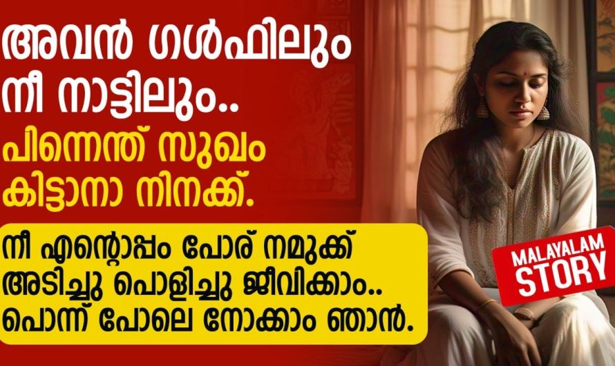 ഗൾഫിൽ നിൽക്കുന്ന ഭർത്താവിനെയും തൻറെ മോനെയും ചതിച്ചുകൊണ്ട് ഭാര്യ ചെയ്തത് കണ്ടോ…