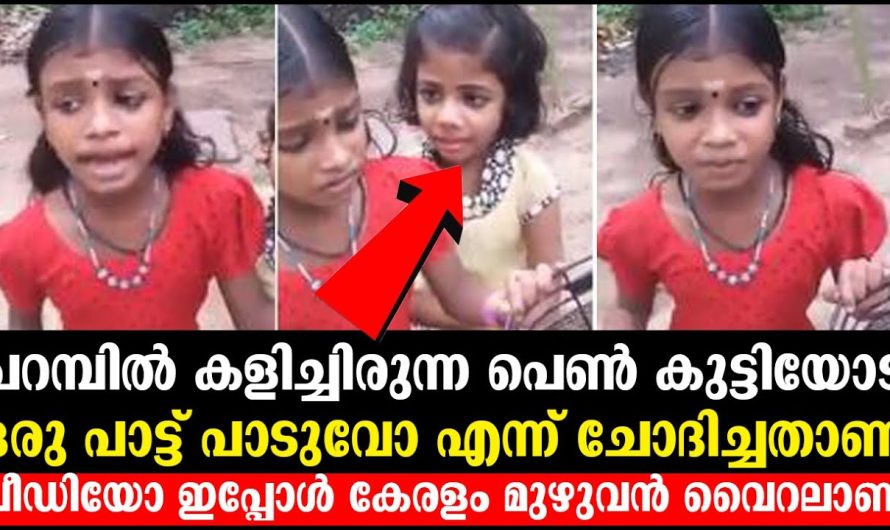 പറമ്പിൽ കളിക്കുന്ന പെൺകുട്ടിയോട് ഒരു പാട്ടുപാടാൻ പറഞ്ഞപ്പോൾ ഇത്രയും പ്രതീക്ഷിച്ചില്ല…