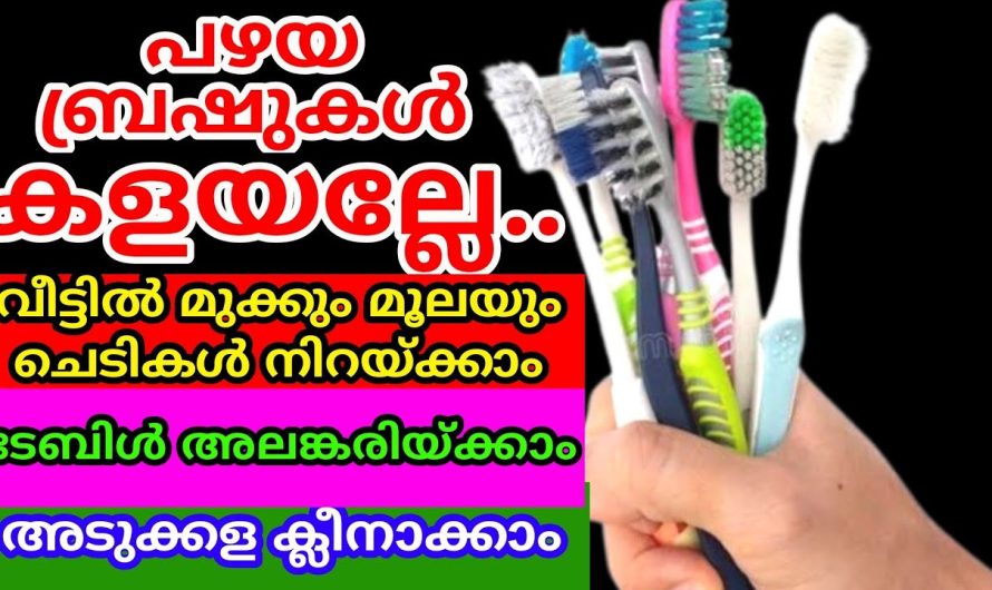 പല്ലു തേച്ച് കളയാൻ പോകുന്ന ബ്രഷുകൾ കയ്യിലുണ്ടെങ്കിൽ ഈ ടിപ്സ് ഉപകാരപ്പെടും..