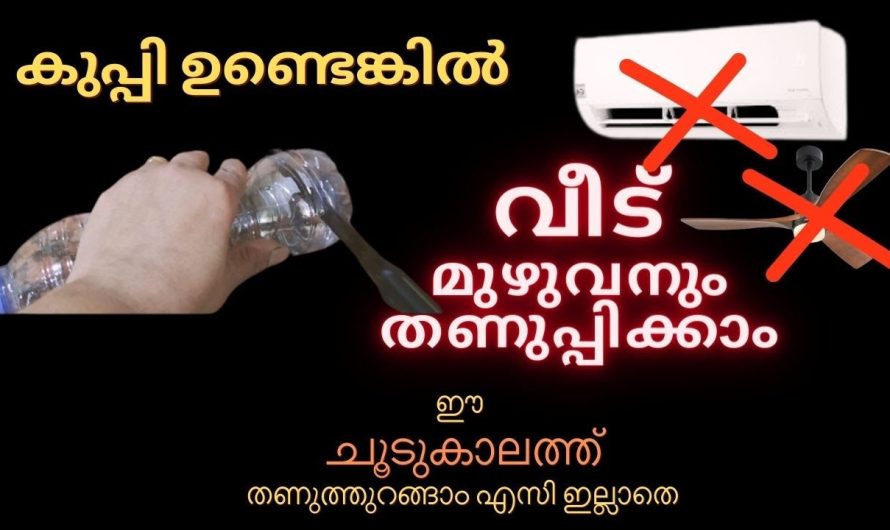 ചൂടുകാലത്ത് എസി ഇല്ലാതെ തന്നെ വീട് തണുപ്പിക്കാനുള്ള ഒരു കിടിലൻ വിദ്യ…