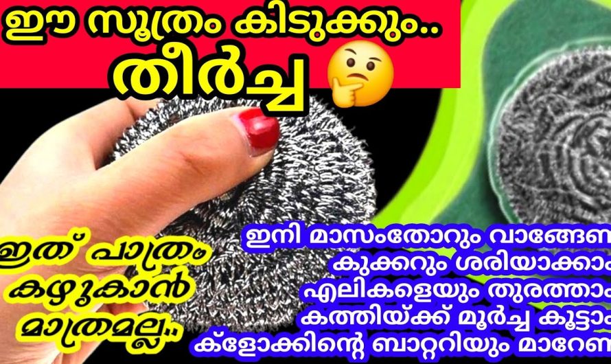 പാത്രം കഴുകുന്ന സ്ക്രബർ കൊണ്ട് ചെയ്യാൻ പറ്റുന്ന ചില ഈസി ടിപ്സ് പരിചയപ്പെടാം..