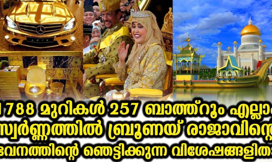 മുറികളും ബാത്ത്‌റൂമുകളും സ്വർണ്ണത്തിൽ ബ്രൂണയ് രാജാവിന്റെ ഭവനം നോക്കൂ