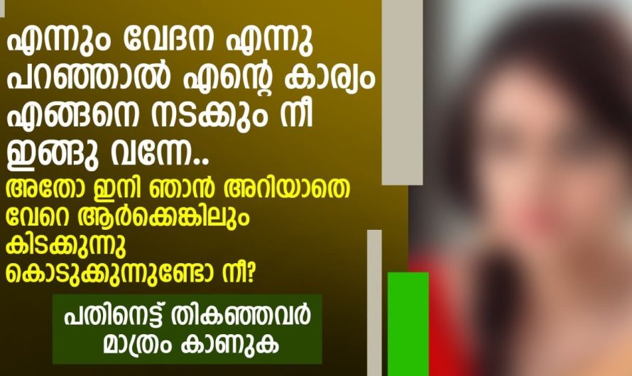 ഭാര്യയുടെ അവസ്ഥ മനസ്സിലാക്കാതെ പെരുമാറിയ ഭർത്താവിന് സംഭവിച്ചത്…