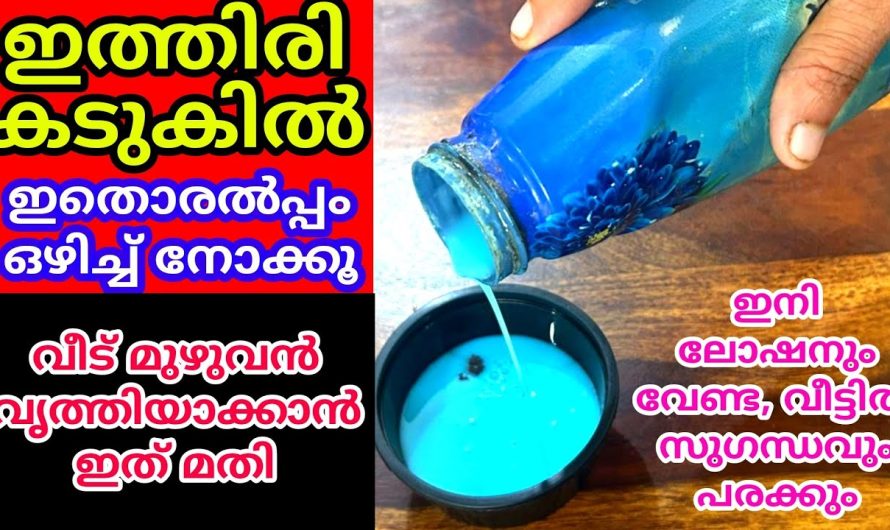 വീട്ടിൽ കംഫർട്ട് ഉണ്ടോ എങ്കിൽ വീട് ഈസി ആയിട്ട് ക്ലീൻ ചെയ്തെടുക്കാം..