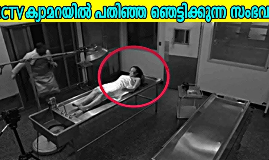 ഇത്രത്തോളം ടെക്നോളജികൾ വളർന്നിട്ടും മനുഷ്യൻറെ യുക്തിക്ക് അപ്പുറത്തെ നിലകൊള്ളുന്ന ചില നിഗൂഢതകളെ കുറിച്ച് മനസ്സിലാക്കാം…