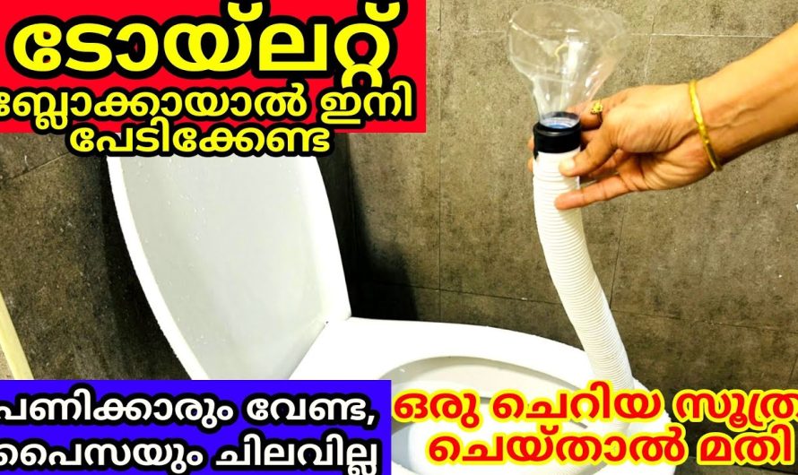 കറപിടിച്ച ടോയ്ലറ്റുകൾ നിമിഷനേരങ്ങൾക്കുള്ളിൽ ഈസിയായി ക്ലീൻ ചെയ്ത് എടുക്കാം..