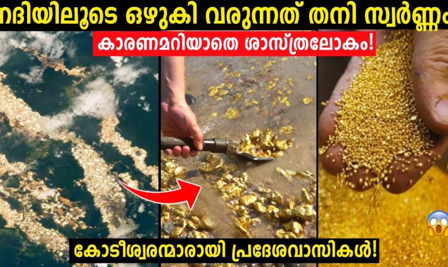 ഏറെ നിഗൂഡതകൾ നിറഞ്ഞ ഇന്ത്യയിലെ സ്വർണം ഒഴുകുന്ന നദി..