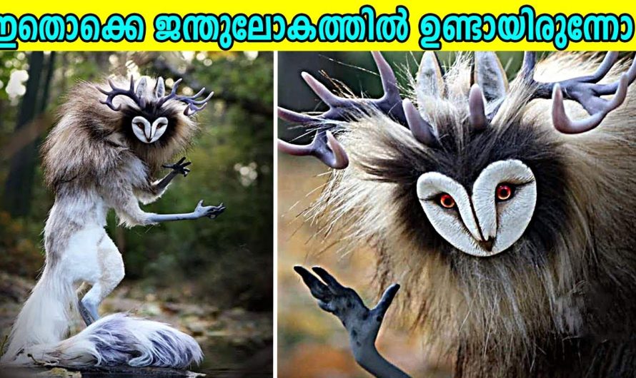 ലോകത്തെ വിചിത്രമായ ചില ജന്തു വിഭാഗങ്ങളെ കുറിച്ച് മനസ്സിലാക്കാം..