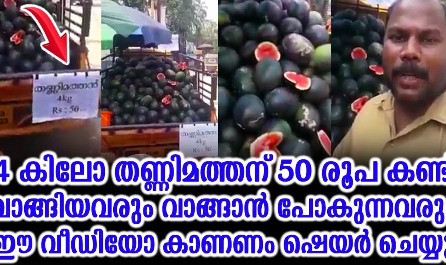 തണ്ണിമത്തന്റെ വിലകുറവ്‌ കണ്ട് വാങ്ങിയവരും വാങ്ങാൻ പോകുന്നവരും ഈ വീഡിയോ കാണണം
