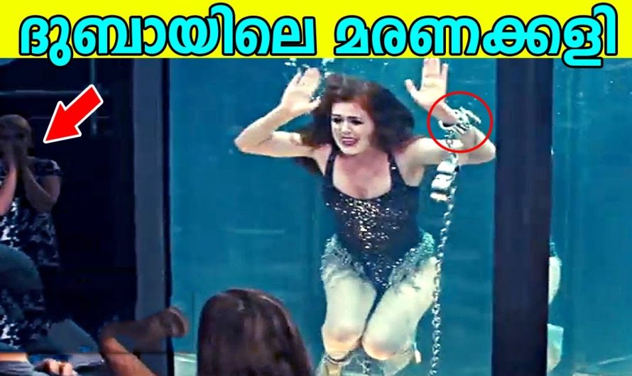 ദുബായിലെ അതിസാഹസികമായ ചില അഡ്വഞ്ചർ എക്സ്പീരിയൻസിനെ കുറിച്ച് നമുക്ക് മനസ്സിലാക്കാം…