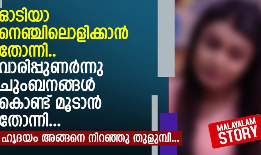 പത്തുവർഷങ്ങൾക്ക് ശേഷം വിദേശത്തുനിന്നും നാട്ടിലെത്തിയ യുവതിക്ക് സംഭവിച്ചത്..