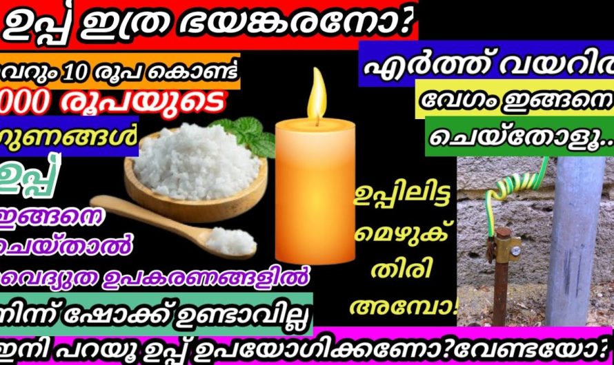 ഉപ്പുകൊണ്ട് വീട്ടിൽ ചെയ്യാൻ പറ്റുന്ന ആർക്കും അറിയാത്ത ചില കിടിലൻ ടിപ്സുകൾ മനസ്സിലാക്കാം.
