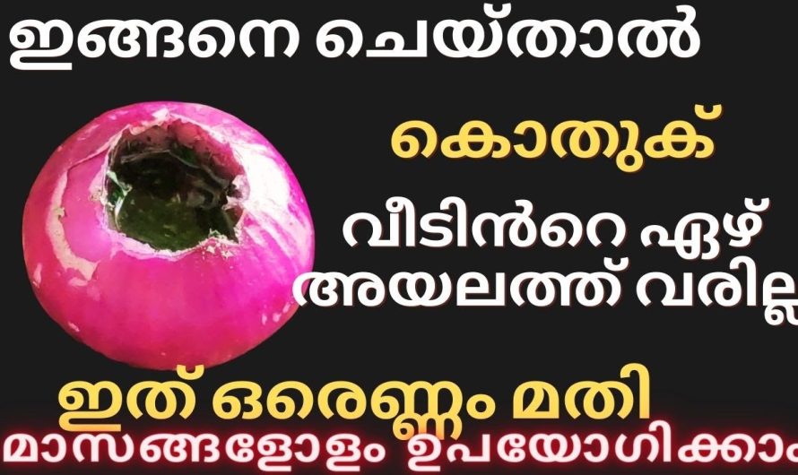 വീട്ടിലെ കൊതുക് പാറ്റ ശല്യം ഈസി ആയിട്ട് കുറയ്ക്കാൻ സഹായിക്കുന്ന സിമ്പിൾ ടിപ്സ്..