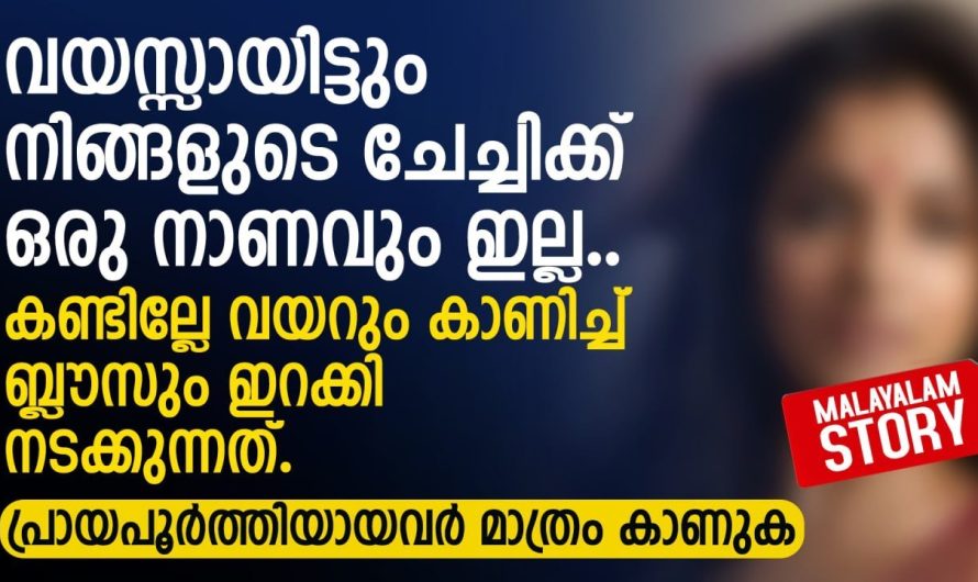 അനിയന് വേണ്ടി മാത്രം ജീവിച്ച ചേച്ചിക്ക് അവസാനം കിട്ടിയത് കണ്ടോ..
