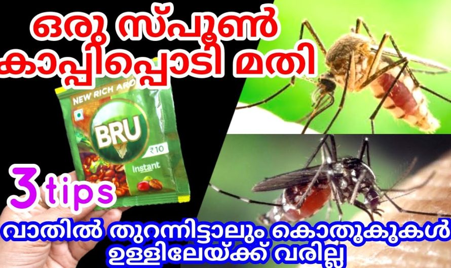 വീട്ടിൽ കോഫി പൗഡർ ഉണ്ടോ എങ്കിൽ വീട്ടിൽ നിന്ന് കൊതുക് ശല്യം പാടെ ഇല്ലാതാക്കാം..