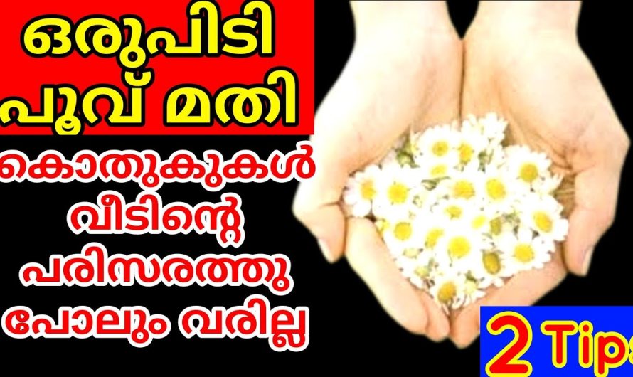 കൊഴിഞ്ഞതും വാടിപ്പോയതുമായ പൂക്കൾ ഉപയോഗിച്ചുകൊണ്ട് ചെയ്യാൻ പറ്റുന്ന ഒരു കിടിലൻ ടിപ്സ് പരിചയപ്പെടാം..