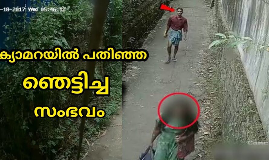 കേട്ടാലും കണ്ടാലും ആരും വിശ്വസിക്കാത്ത ലോകത്ത് നടന്ന ഞെട്ടിപ്പിക്കുന്ന സംഭവങ്ങൾ…