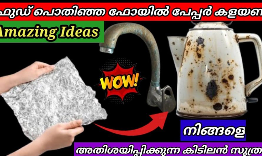ഈ ഒരൊറ്റ ടിപ്സ് ചെയ്താൽ മതി മിക്സിയിലെ പറ്റിപ്പിടിച്ച അഴുക്കുകൾ ഈസിയായി ക്ലീൻ ചെയ്യാം…